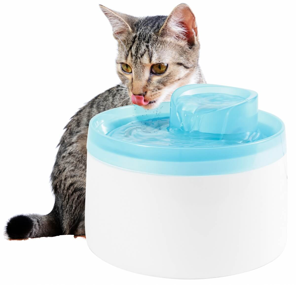 Zolux - 2L - Fonte de água silênciosa para gato ou cão pequeno