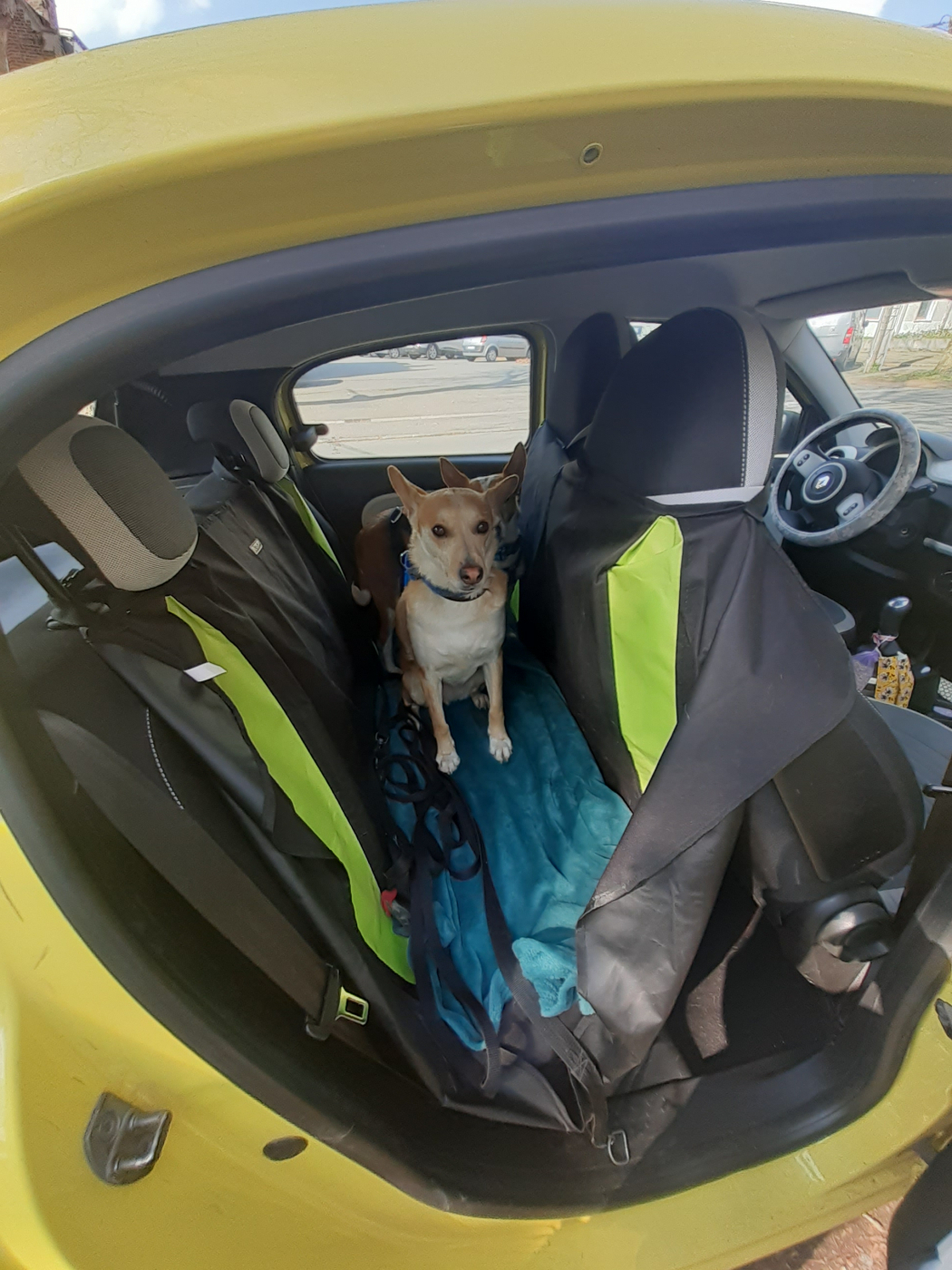 Avis sur Housse de protection pour sièges voiture pour chien Voltan Zolia