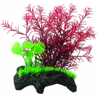 SuperFish Nano Wood Garden - Mini Jardin Aquatique - 3 modèles