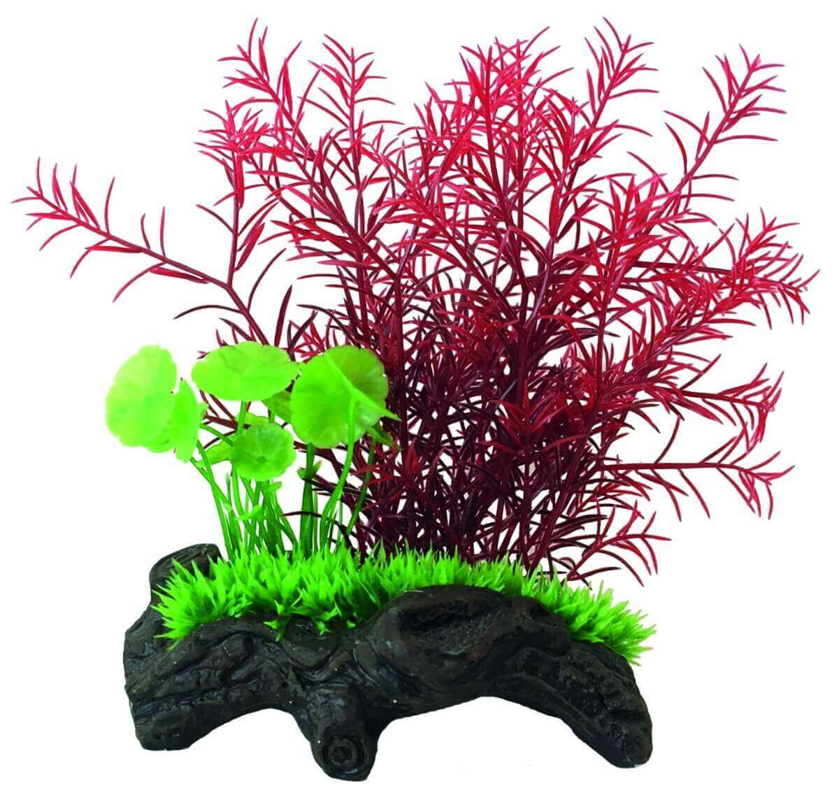 SuperFish Nano Wood Garden - Mini Jardín Acuático - 3 modelos