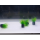 37542_SuperFish-Easy-Plants-Nano-Plugs-2-cm_de_amandine_197458115fe8c4057fad19.06048932