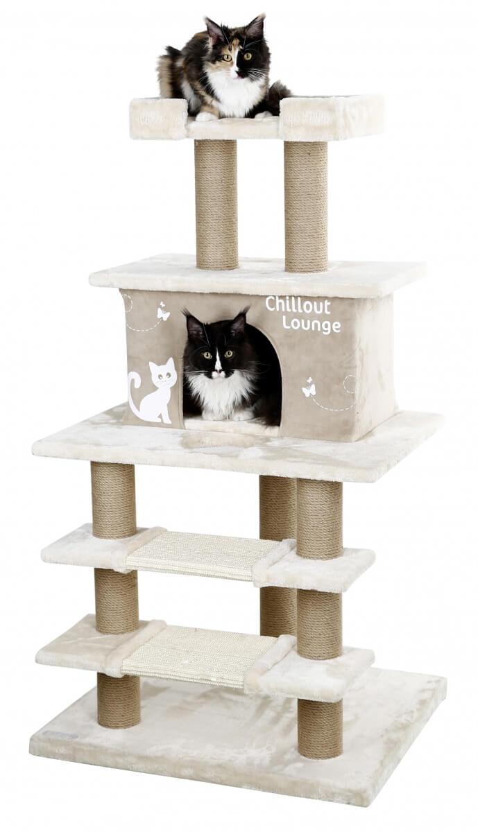 Arbre à chat - 136 cm - Chillout Lounge 