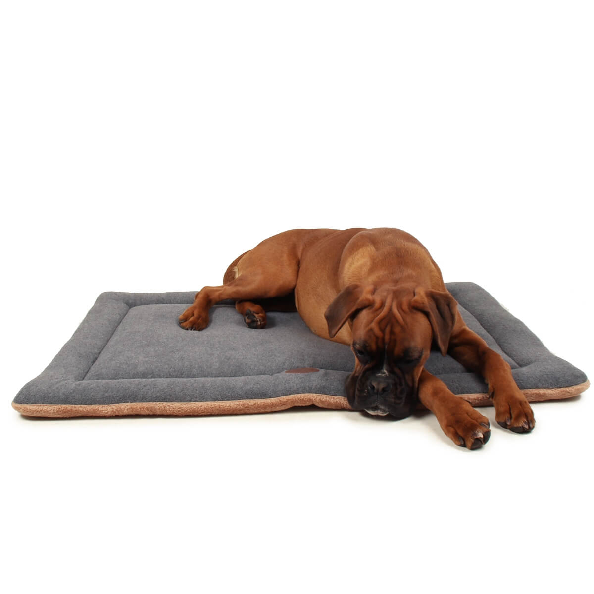 Roung - Tappetino per letto per cani in morbido velluto di corallo, grande  tappetino per animali domestici, tappeto caldo e antiscivolo, per