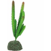 Plant voor terrarium Desertica REPTIL'US