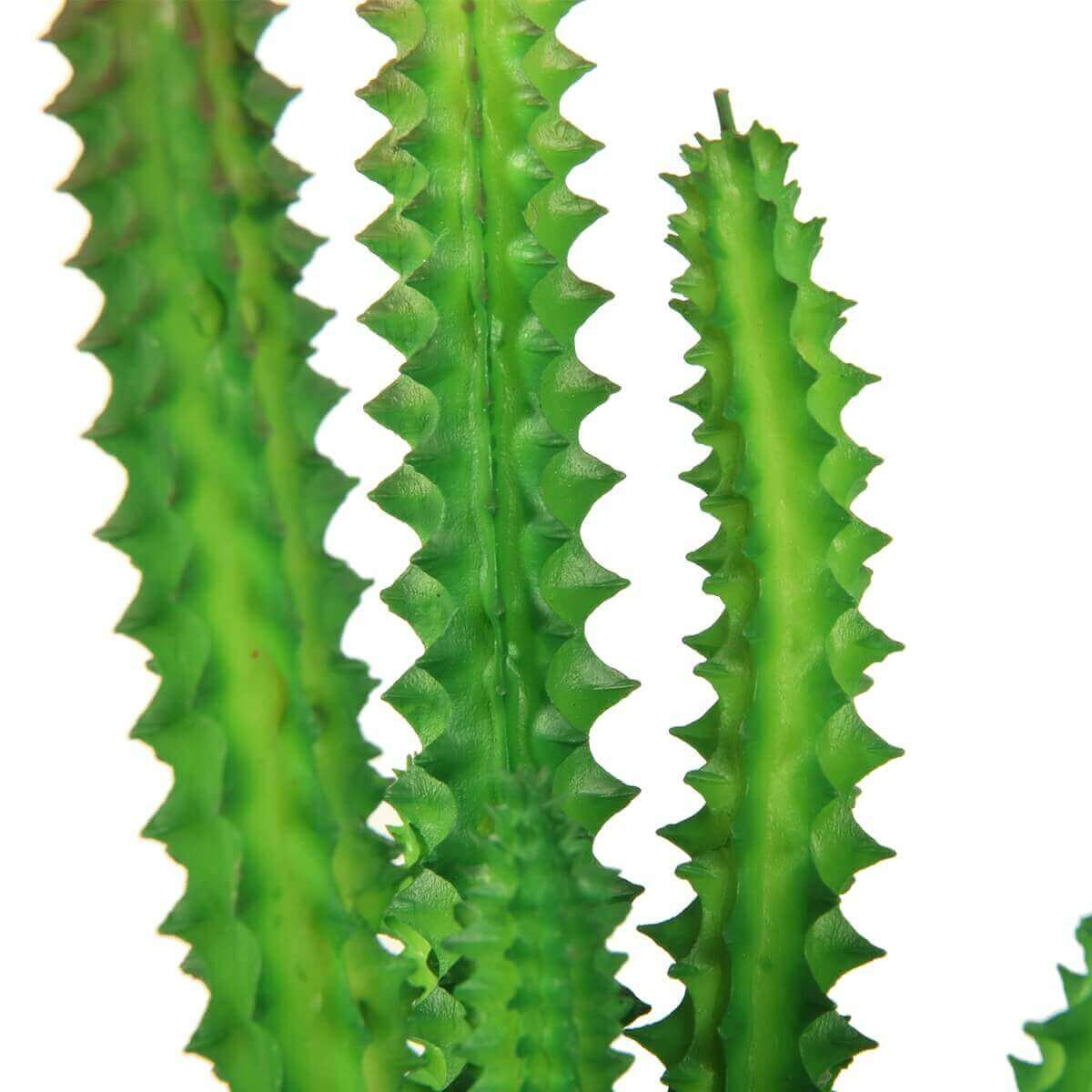 Plant voor terrarium Desertica REPTIL'US