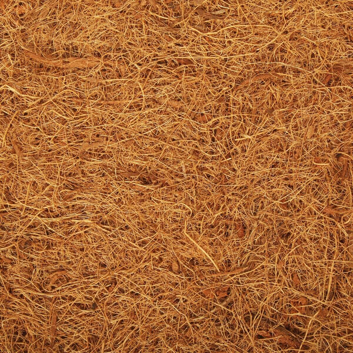 Bodenmatte aus natürlichen Kokosfasern REPTIL'US