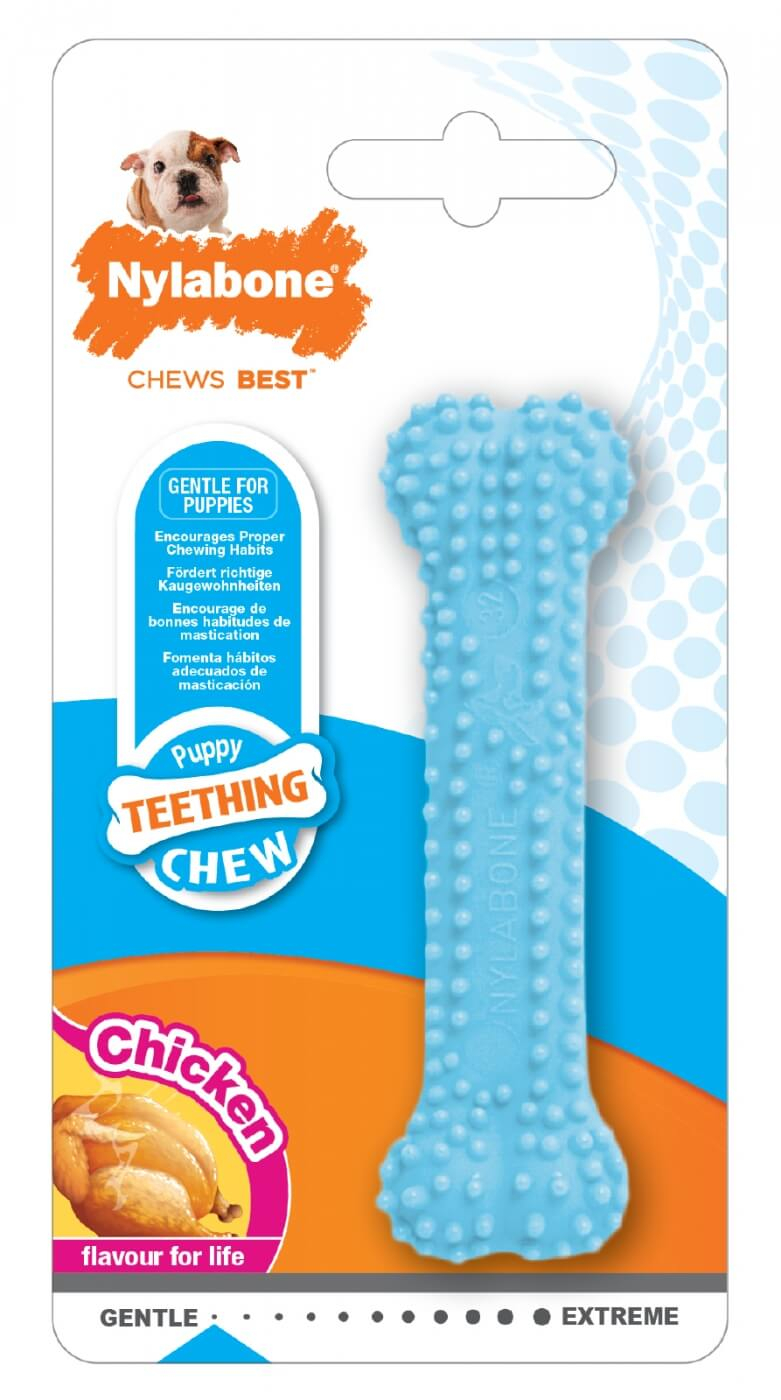 Nylabone tandenborstel voor puppy's met kipsmaak