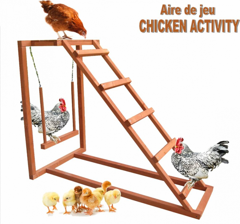 Speeltuin voor kippen