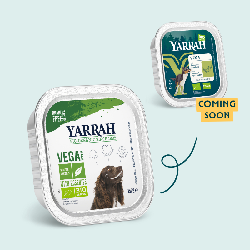 Pâtée YARRAH Vega Bio 150g Sans Céréales pour Chien Adulte