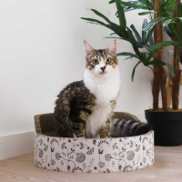 Griffoir en carton pour chat Zolia Florette + herbe à chats incluse