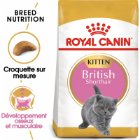 Royal Canin Breed British Shorthair Kitten