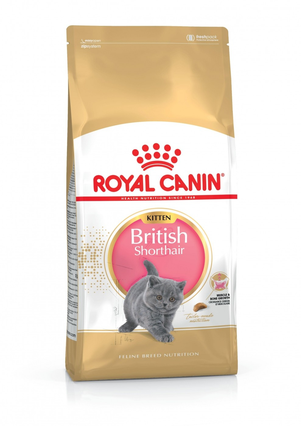 Royal Canin Kitten Brithish Shorthair para gatitos
