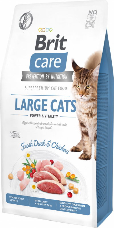 BRIT CARE Grain-Free Large cats Power & Vitality