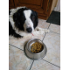 38572_Royal-Canin-Veterinary-Diet-Hepatic-HF16-chien-_de_nadine_15452406005edf774e8f4690.75084858