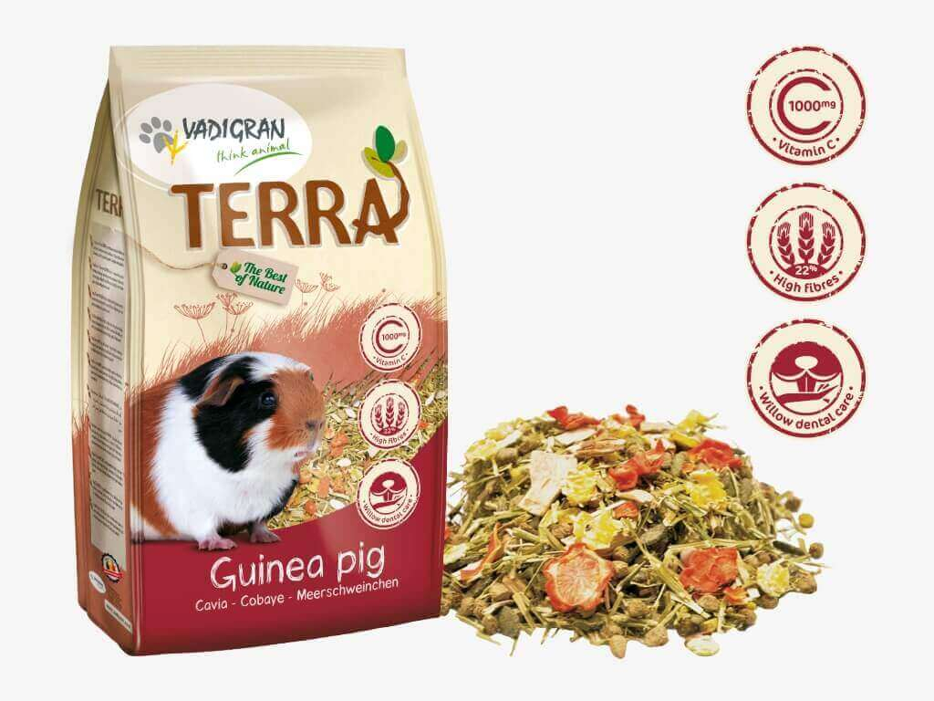 TERRA mélange pour cochon d'Inde 