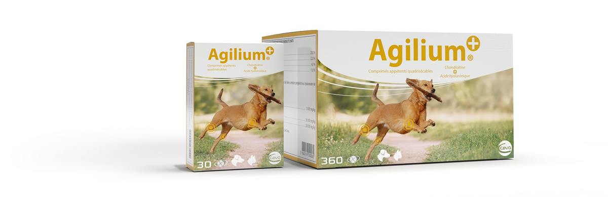 Agilium
