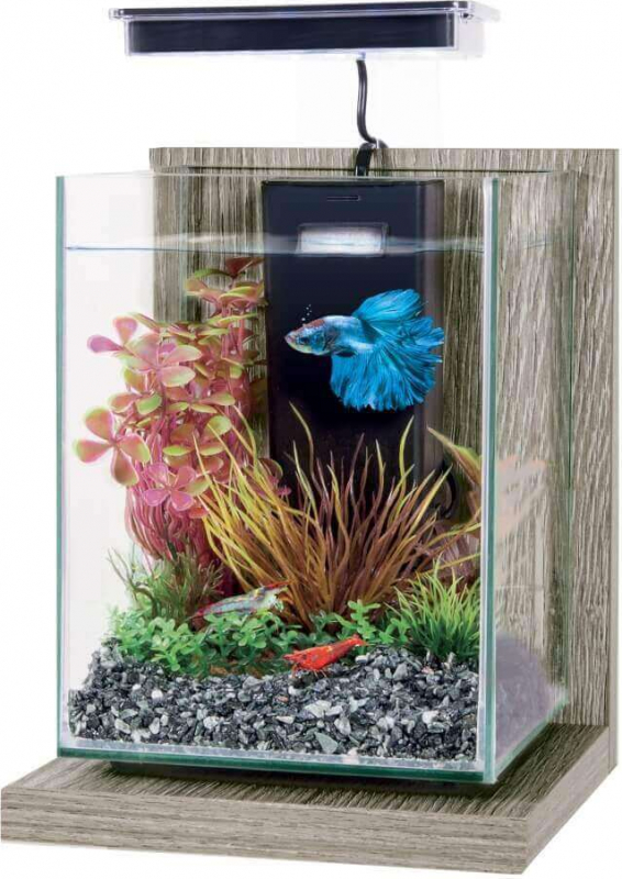 Kit aquarium décoratif Wiha 4L