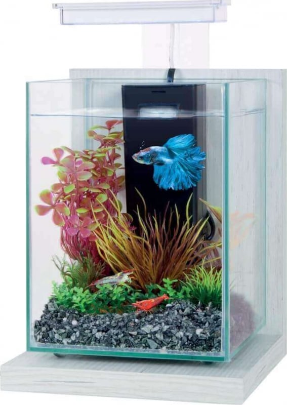 Kit aquarium décoratif Jalaya 9,3L