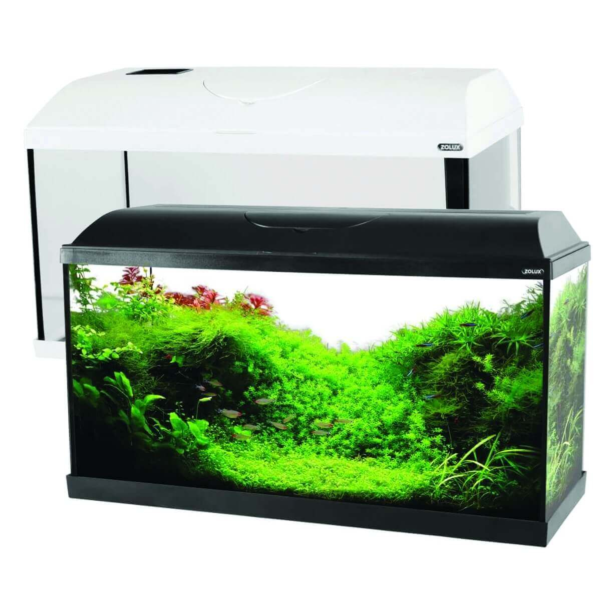Aquarium Kit ISEO 80cm 84L