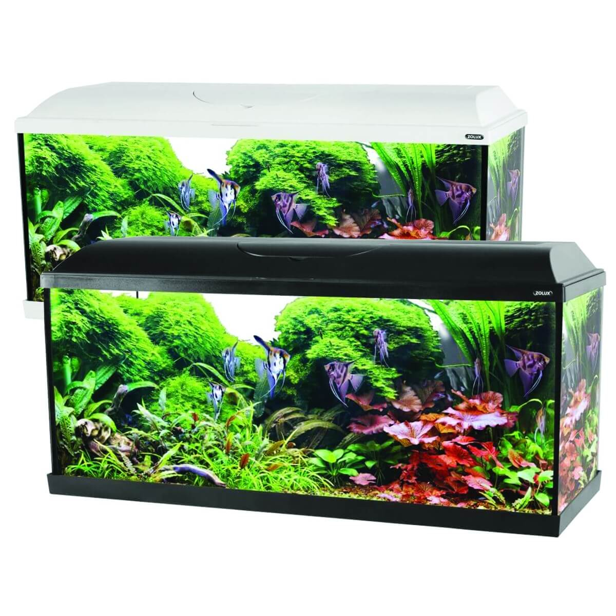 toezicht houden op Kosten directory Kit aquarium ISEO 100 cm 106L