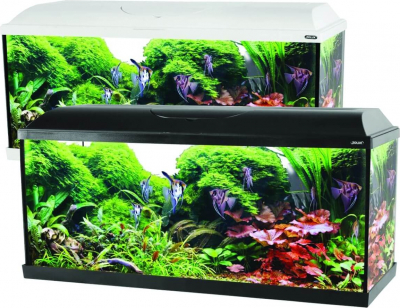 Kit aquarium ISEO 100 cm 106L