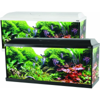 Kit aquarium ISEO 100 cm 106L