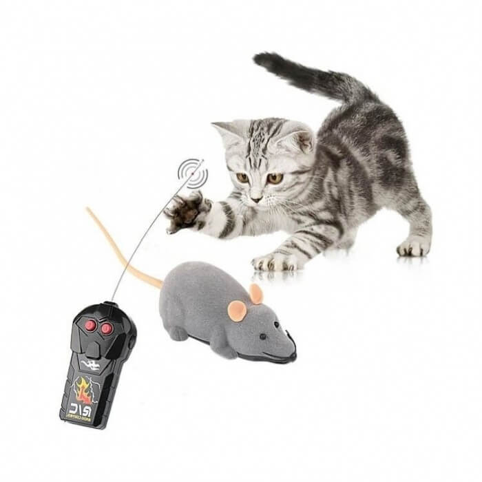 Brinquedo para gato Rato controlado remotamente