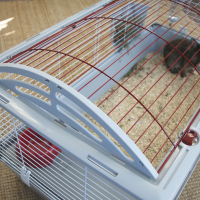 Cage pour lapin et cochon d'inde - 120cm - Zolia Mamba