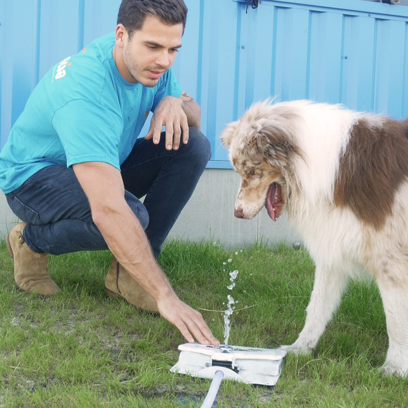 jouet exterieur pour chien