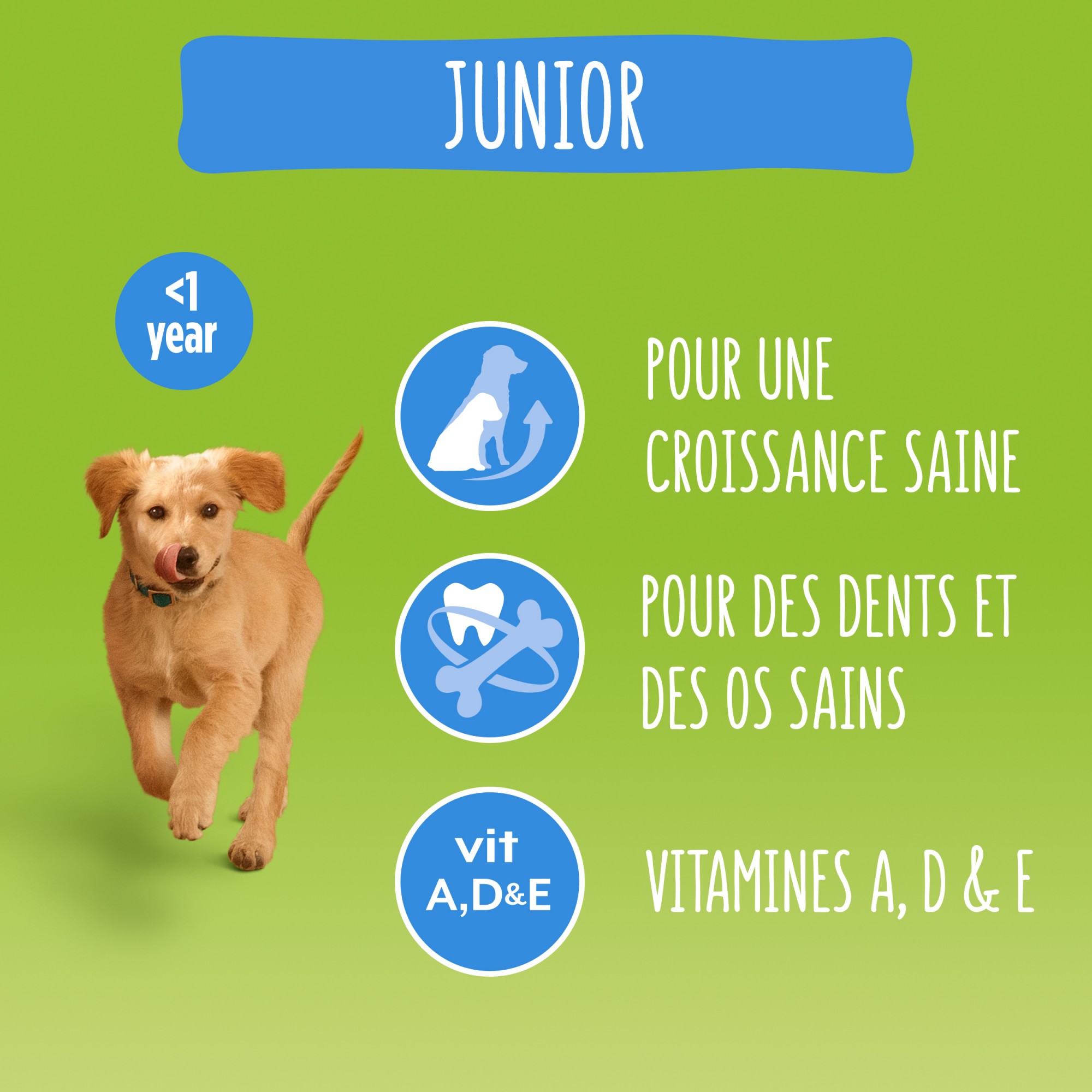 Friskies Vitafit Junior au Poulet, légumes et lait 