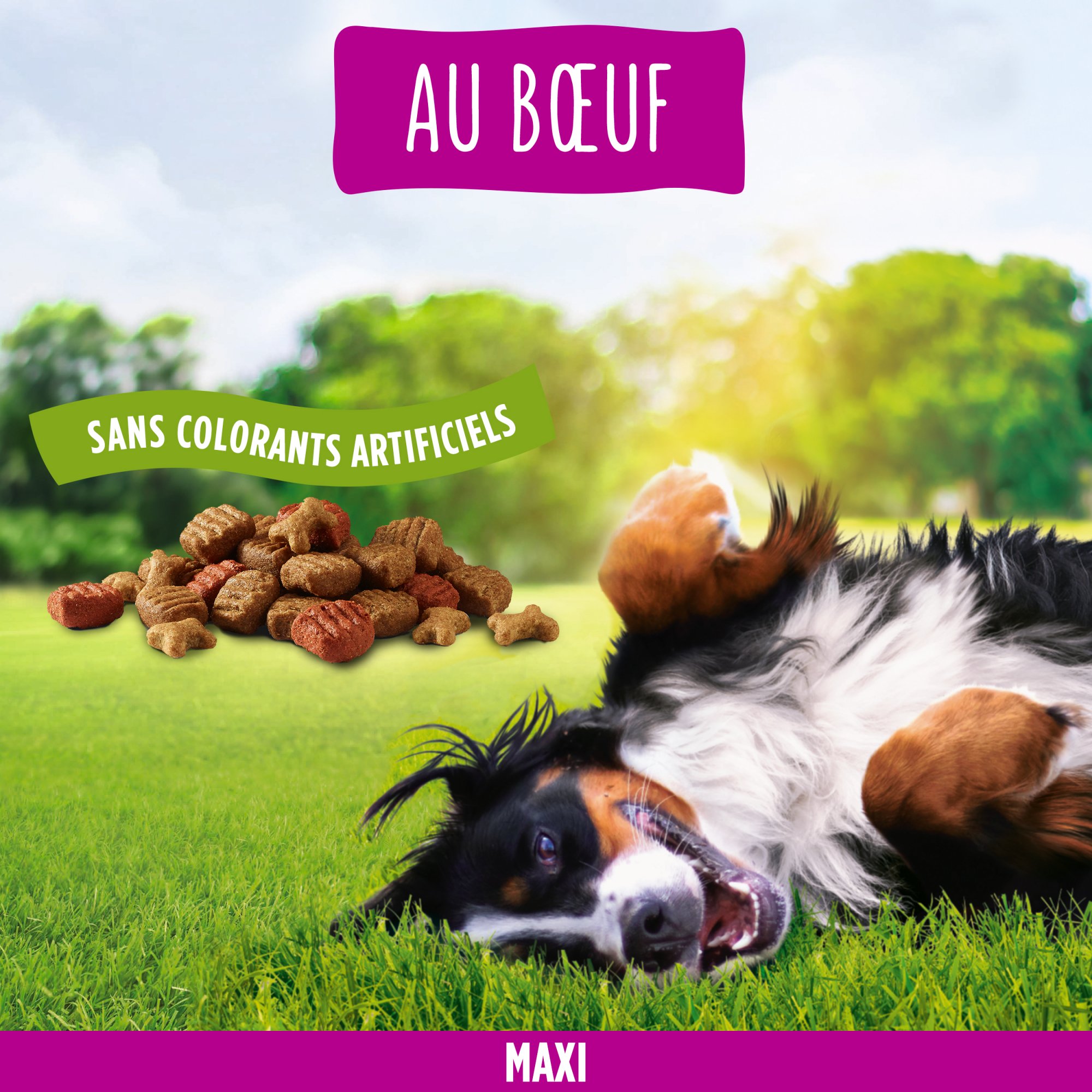 F Maxi - Hundefutter mit Rind