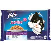 FELIX Fantastic pour chaton