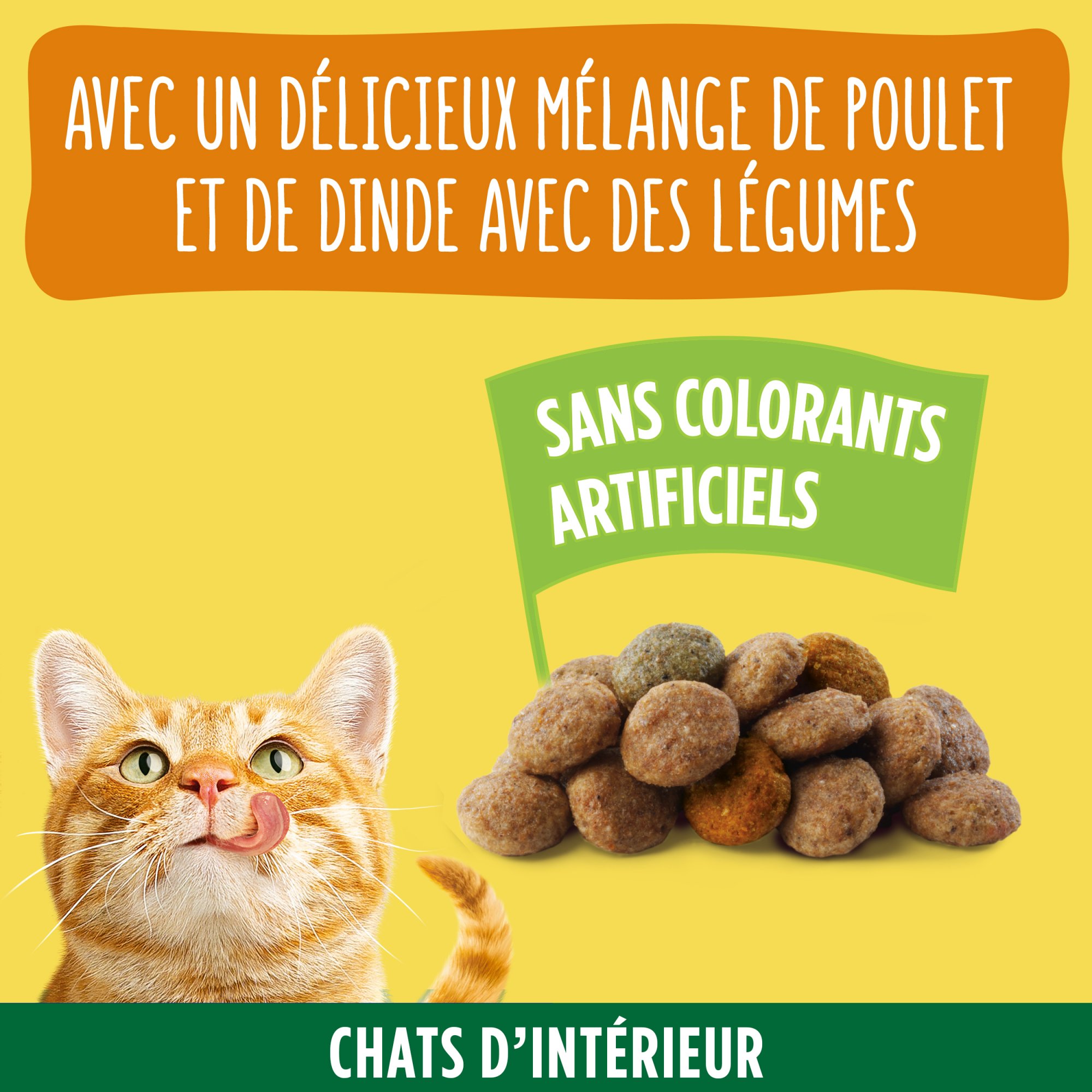 Friskies Chat d'intérieur au poulet, dinde et légumes