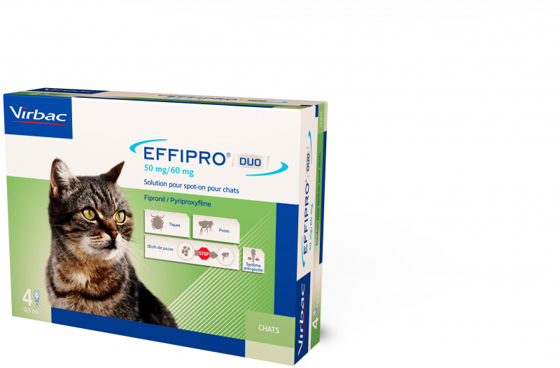Effipro Duo per gatti