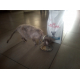 41001_Royal-Canin-Veterinary-Diet-Anallergenic-AN24-pour-chat_de__639470145602e1fdb97efc4.48820905