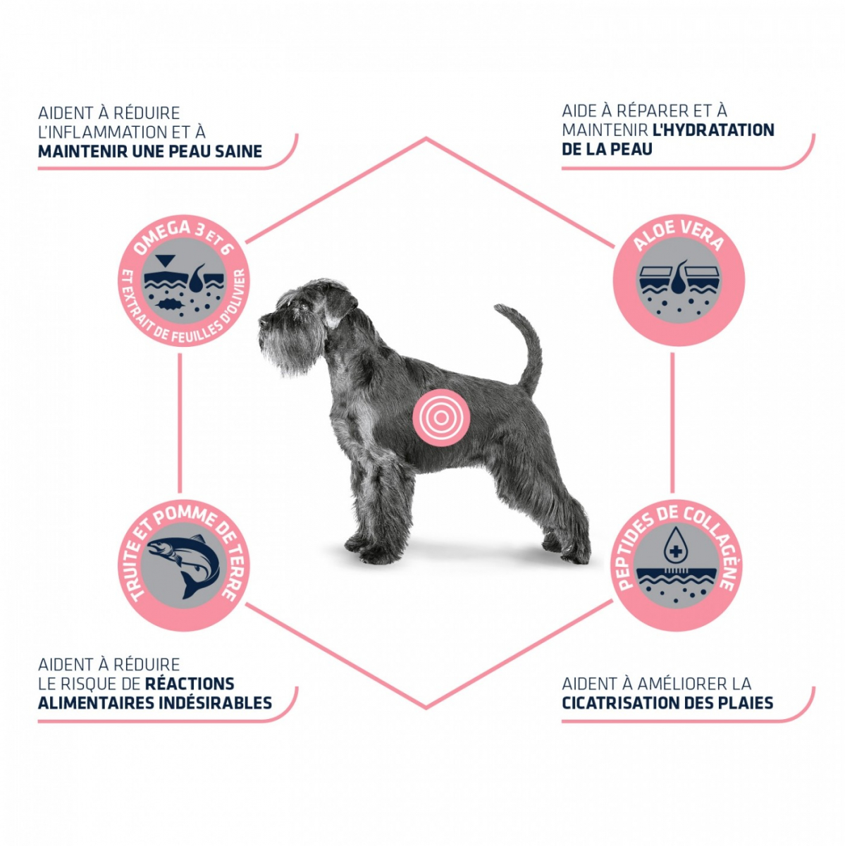 Advance Veterinary Diets Atopic Care Mini pour chien de petite taille