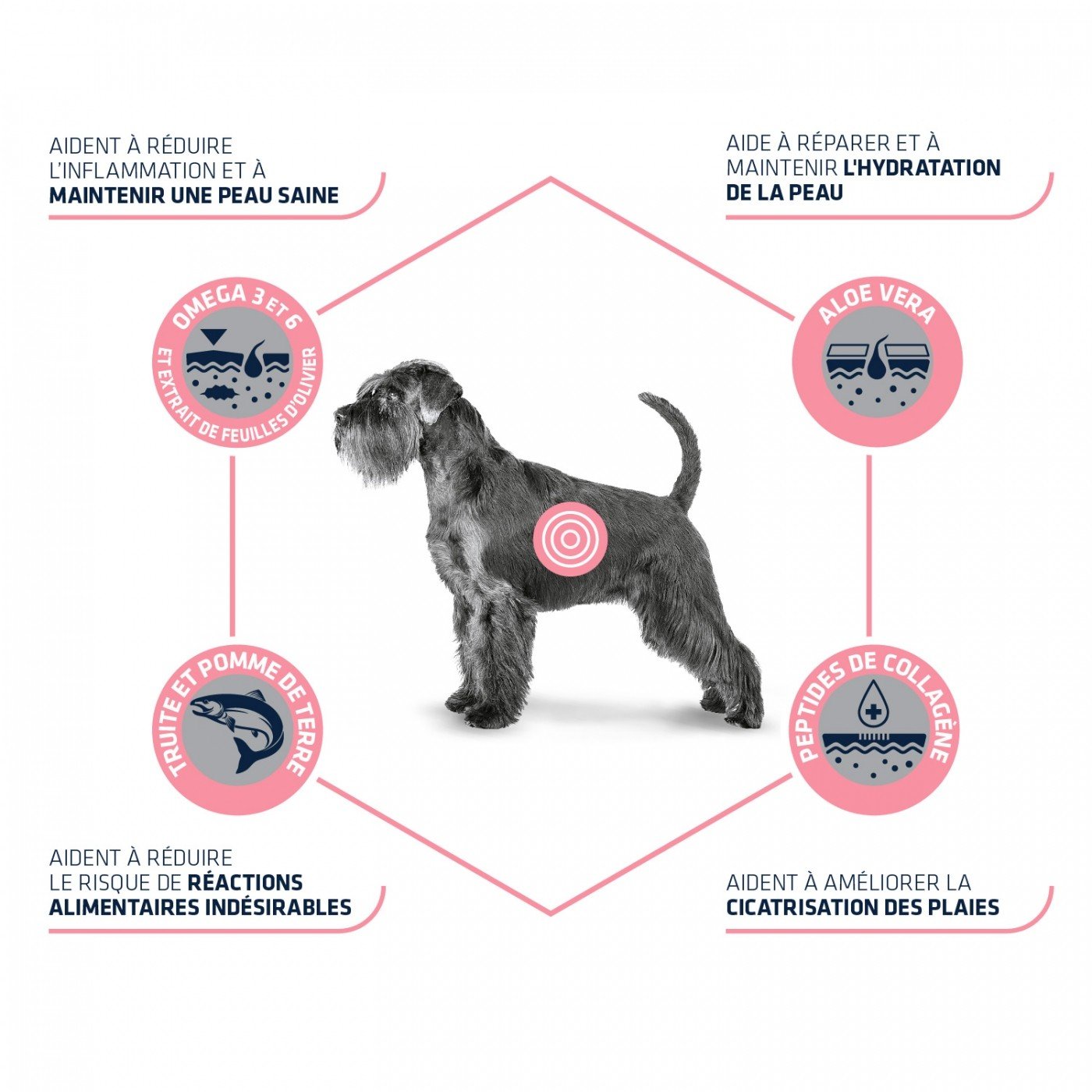 Advance Veterinary Diets Atopic Care Mini per cani di taglia piccola