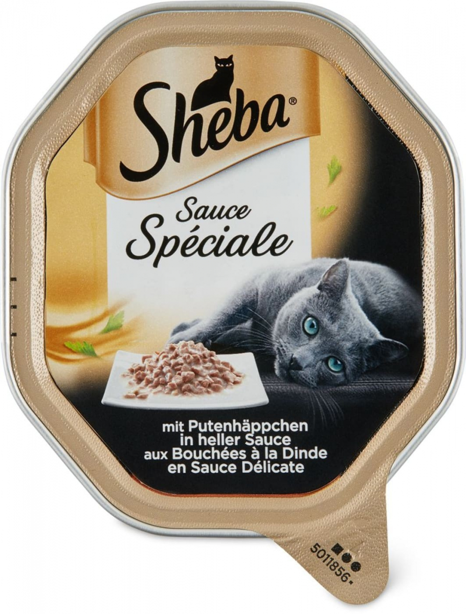 Aanval Oordeel onszelf Sheba Speciale Creatie: kalkoen in saus