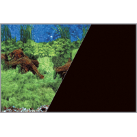 Poster fond décor pour aquarium recto racines plantes verte et verso noir