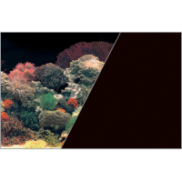 Poster fond décor pour aquarium recto corail et verso noir