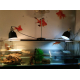 Aquarium-tortue-Karapas-blanc---plusieurs-tailles_de_flavien_4285598795bdb4c39306f01.09856075