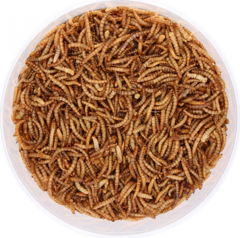 Mealworms Iako Natural treats for chickens / birds / small animals - 400g or 5kg