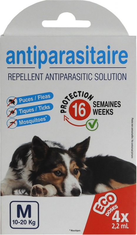 Solution antiparasitaire pour chien