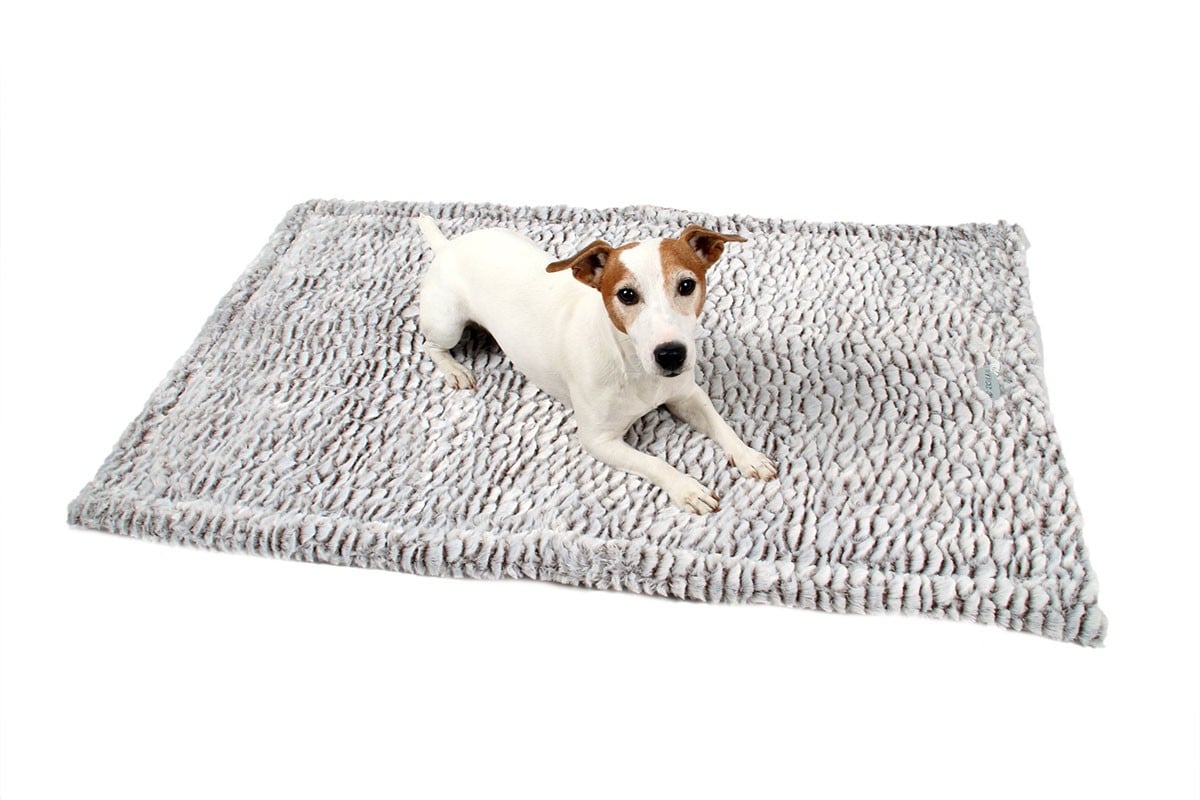 Mat en thermisch deken voor honden Zolia Polär