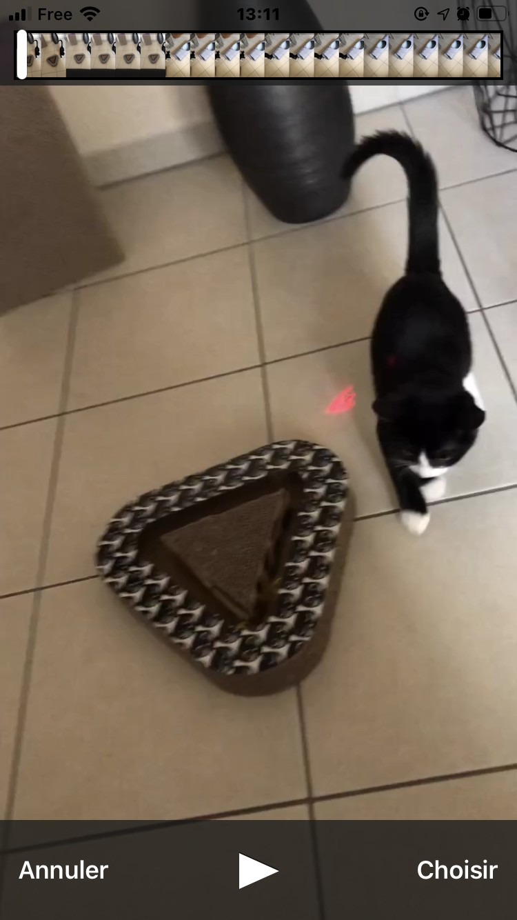 Faire jouer son chat avec un pointeur laser, est-ce vraiment une