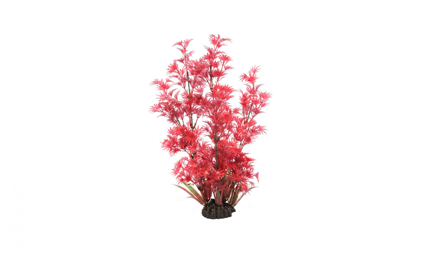 Artificiële rode plant met flijne blaadjes