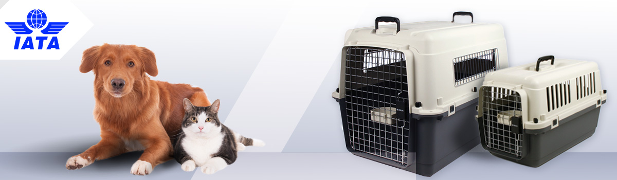 caisse transport norme iata pour chiens et chats