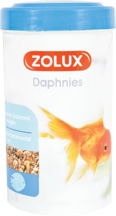 Daphnies nourriture pour poissons