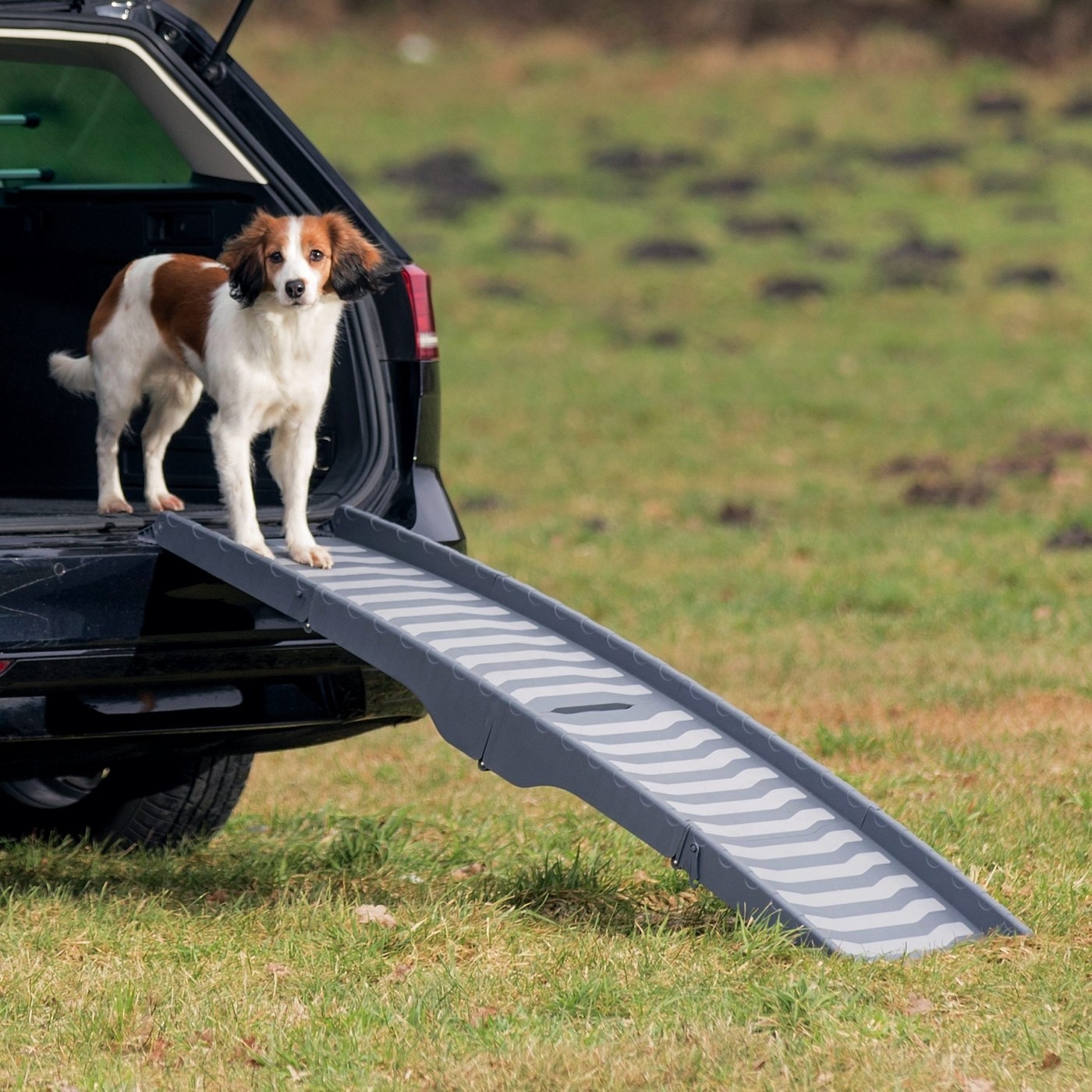 Inklapbare loopplank Petwalk, drievoudig inklapbaar, ideaal voor kleine en middelgrote honden