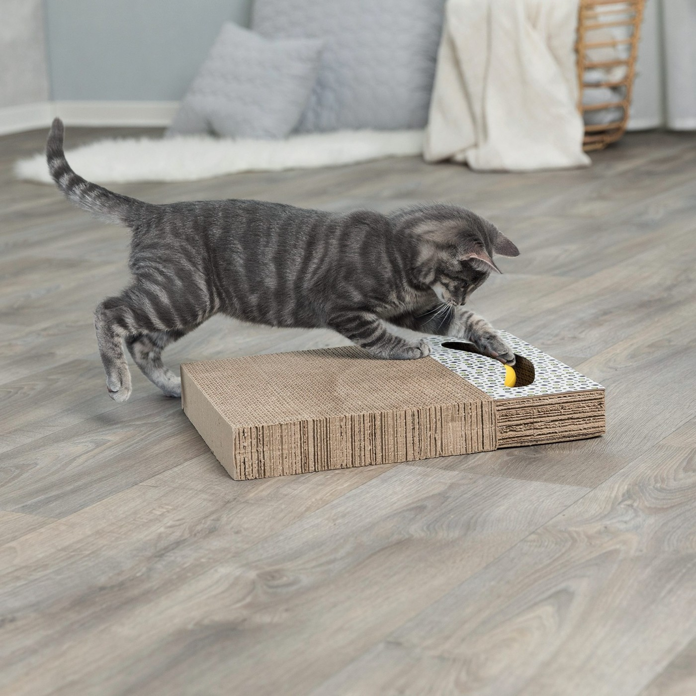 Placca tiragraffi per gatto di cartone con giocattolo  
